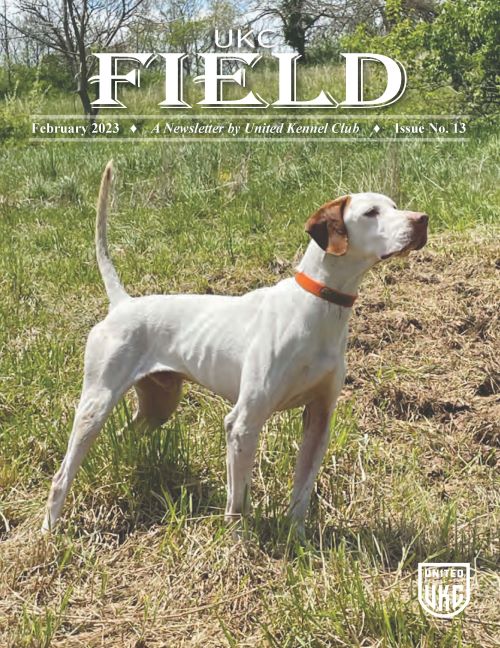 UKC Field February 2023 Cover