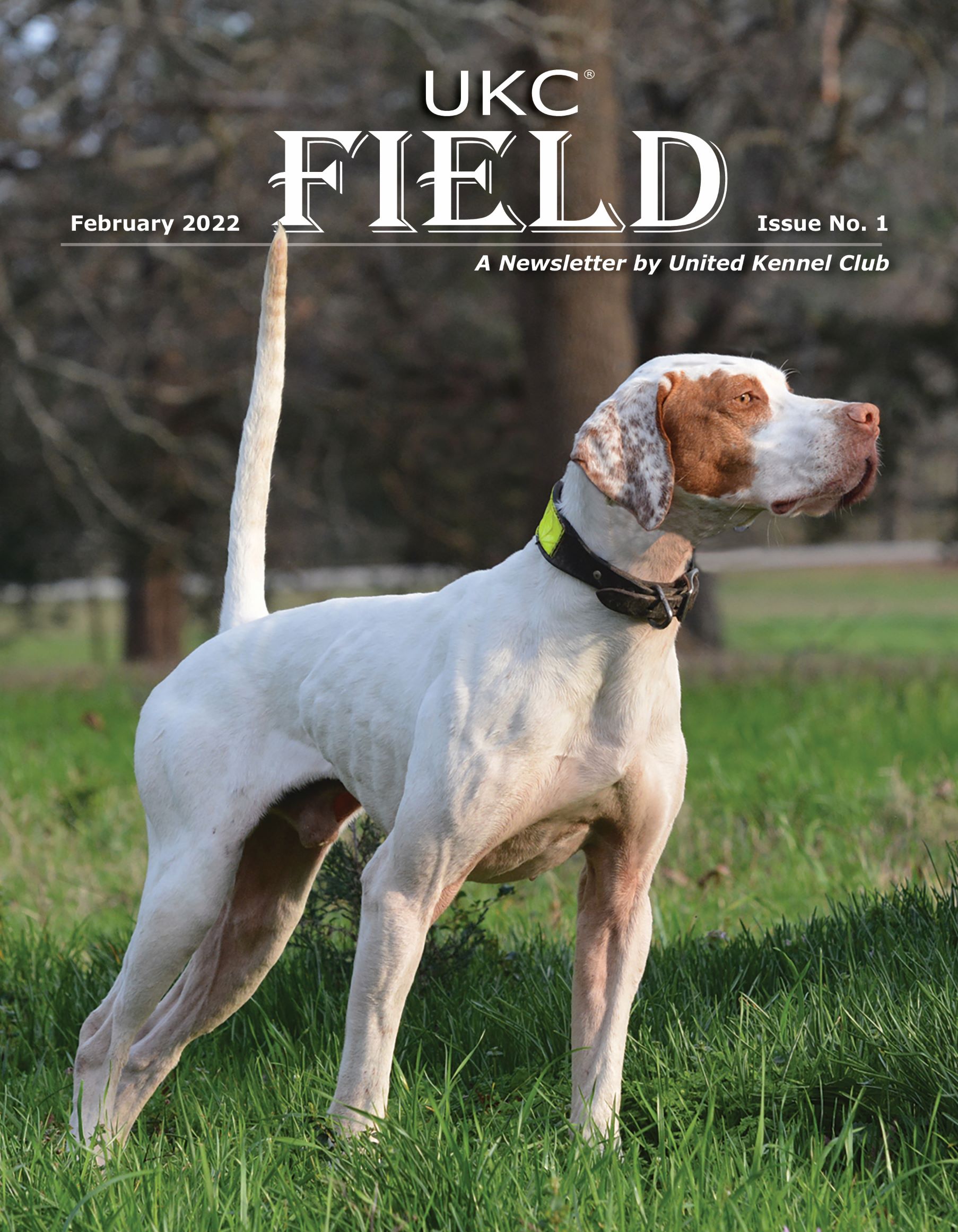 UKC Field February 2022 Cover Image