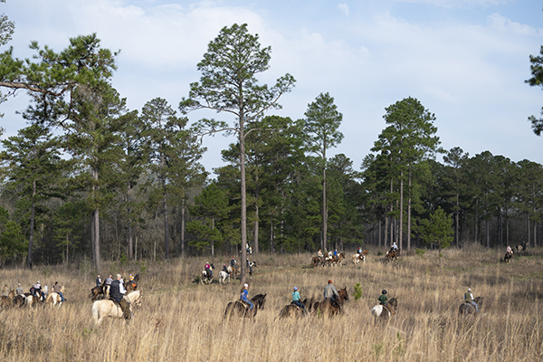 American Field/UKC 5 Year Anniversary