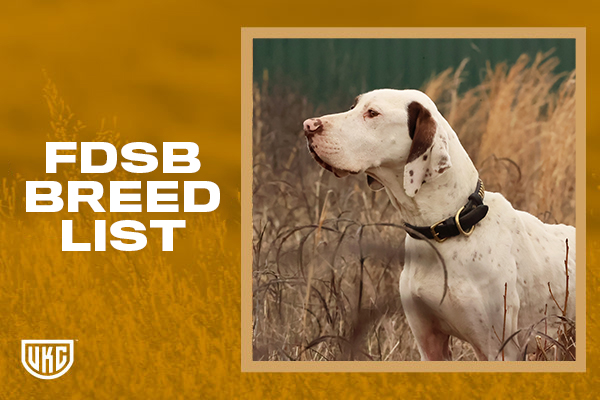 FDSB Breed List Thumbnail Graphic