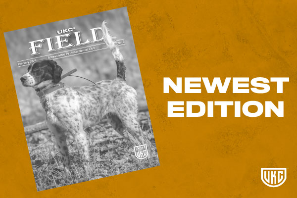February 2026 UKC Field Cover