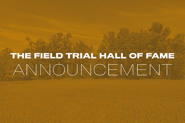 HOF postponed this year