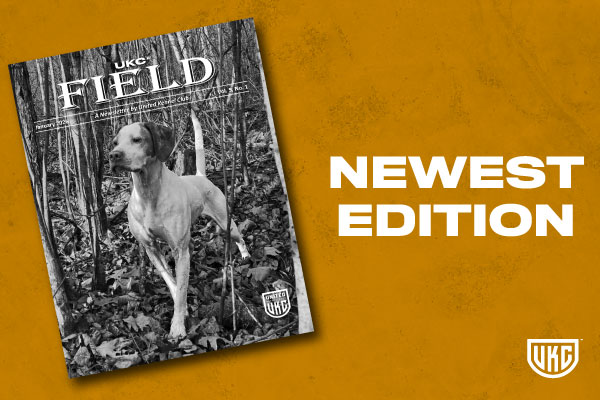 January 2026 UKC Field Cover