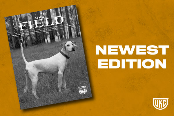 UKC Field September 2024 Cover Thumbnail