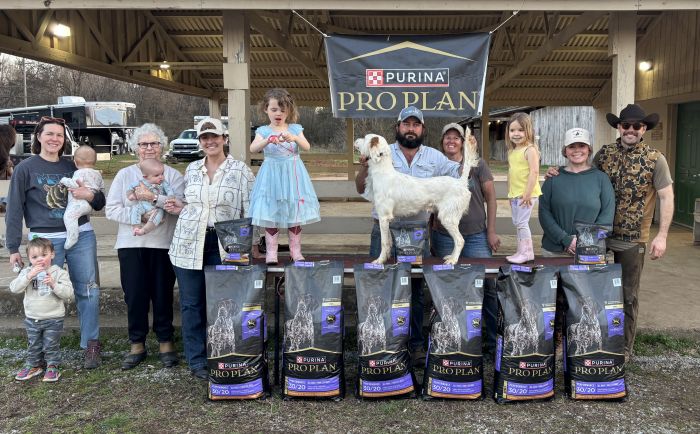 ABHA TN State Classic - Open Shooting Dog Winners