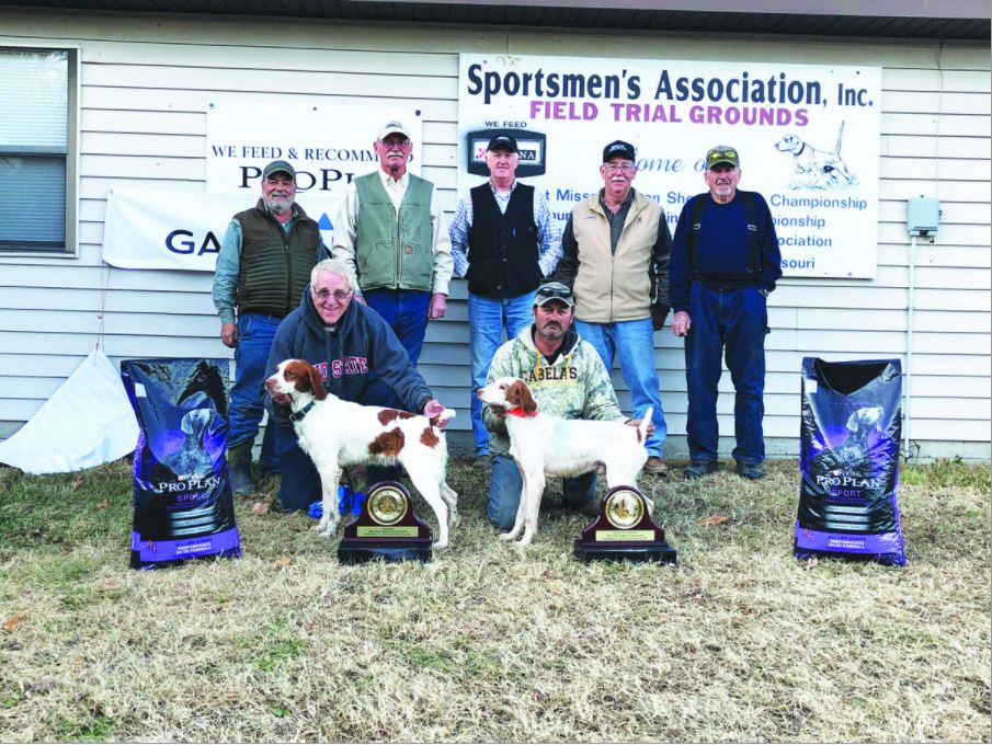 American Brittany Club Quail Championship