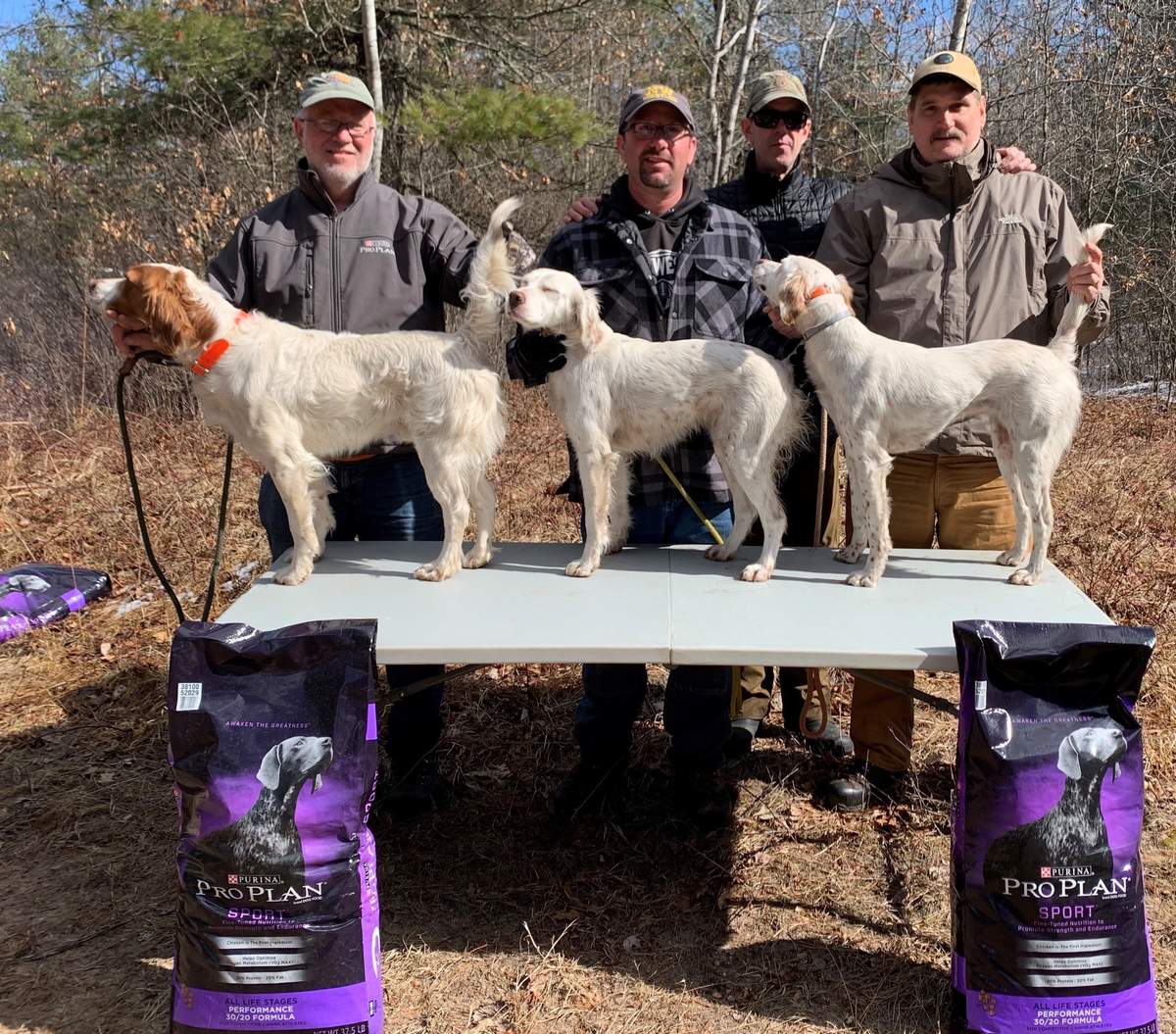Open Shooting Dog Winners. From left:  Mike Luebke with Rebellious Fearless Fred, Tim Kaufman with Northern Slopes Bell, Ed Graddy (behind) and Sig Degitz with Northern Slopes Allie