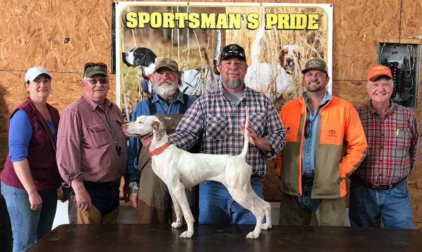 clarksville-amateur-shooting-dog-winner