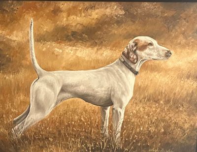 Coldwater ParadiseF25-