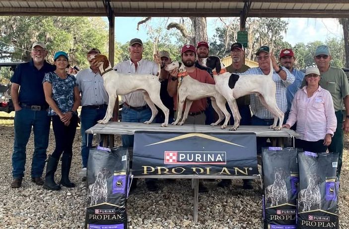 Continental Ama DerbyF25