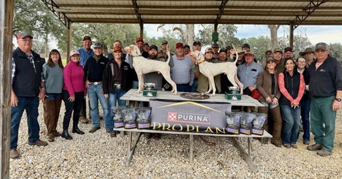 Continental Derby ChS26