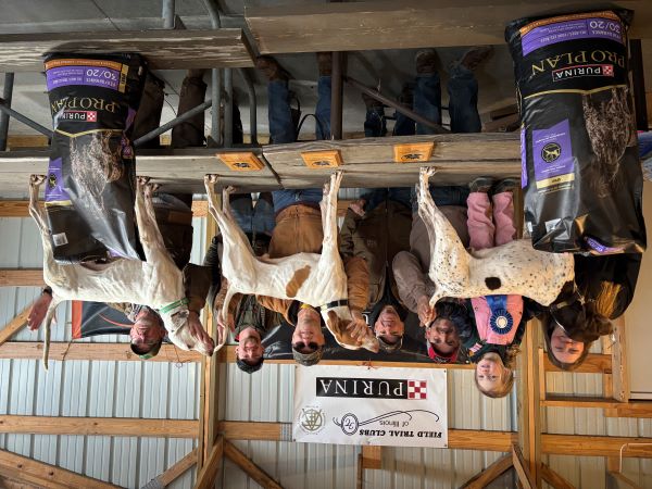 Illinois Winners Amateur Shooting DogS25