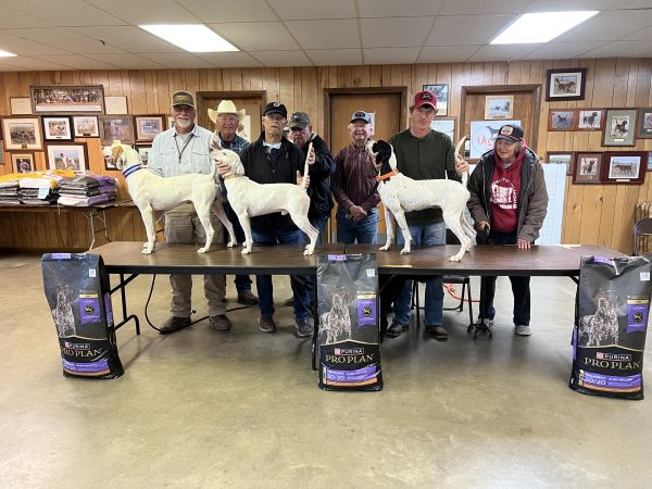 Inola Open All Age DerbyF25