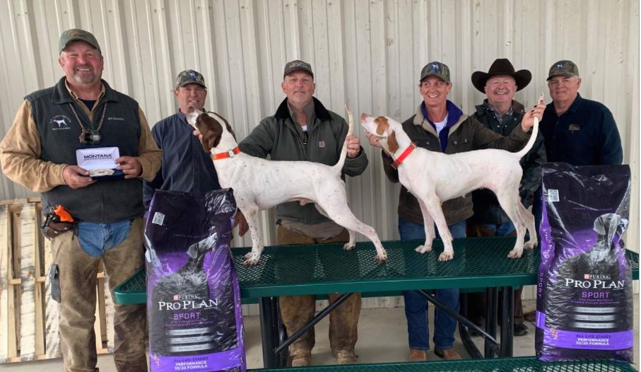 International Endurance Shooting Dog Championship American Field