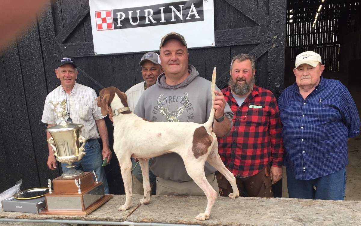 Kentucky Open All-Age Champion. From left to right: Judge Bill Vest, Mike Hester, Robert Whill holding Ch. Quickmarkman's Dan, Judge Ronnie Rogers and Vernon Vance