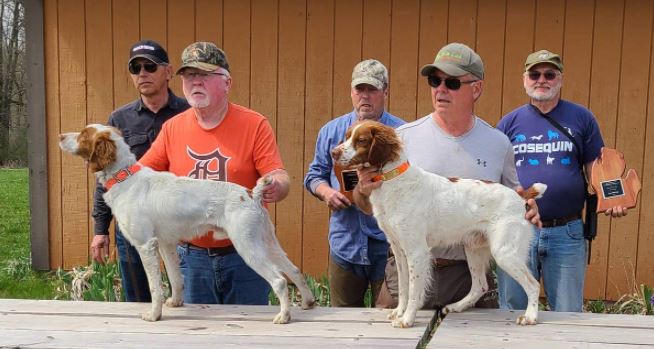 Open Shooting Dog Championship Winners. From left: Al Van Wieren (judge), John Hall with Black Creek Summit, Ed Janulis, Vince Anderson with High Velocity Copper Magnum, and Tom Jagielski (judge)