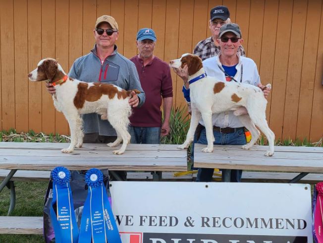 Amateur Shooting Dog Championship Winners. From left: Vince Anderson with Magnum High Velocity, Carlos Gust (judge), Ken DeLong with K Del's Eagle Magnum Hotshot, and Ed Graves (judge)