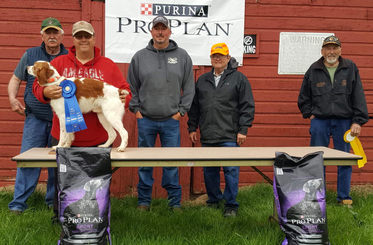 Mid-America Brittany Championship Winner. From left: Howard Burbach (judge), Champion Just Call Me Lucky Ned Pepper with Frank Campbell, Justin Hess (judge), Wesley Felt and Jerry McGee