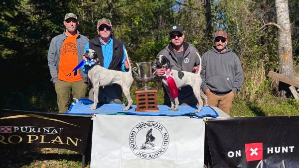 Minnesota Grouse Dog ChF25