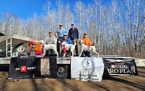 Minnesota Grouse OSDS26