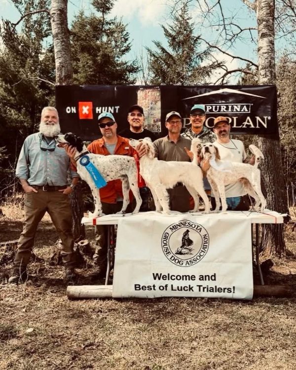 Minnesota OSDS26