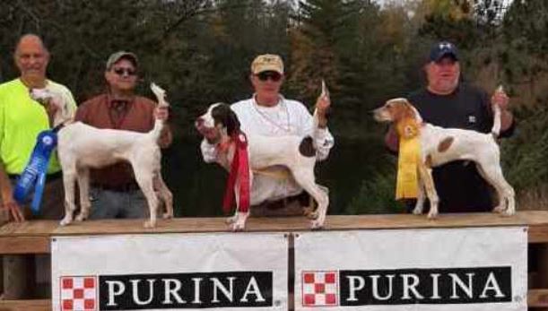 National Brittany Open Grouse Championship Association