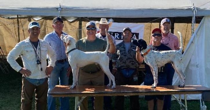 National Prairie Chicken Shooting Dog Championship