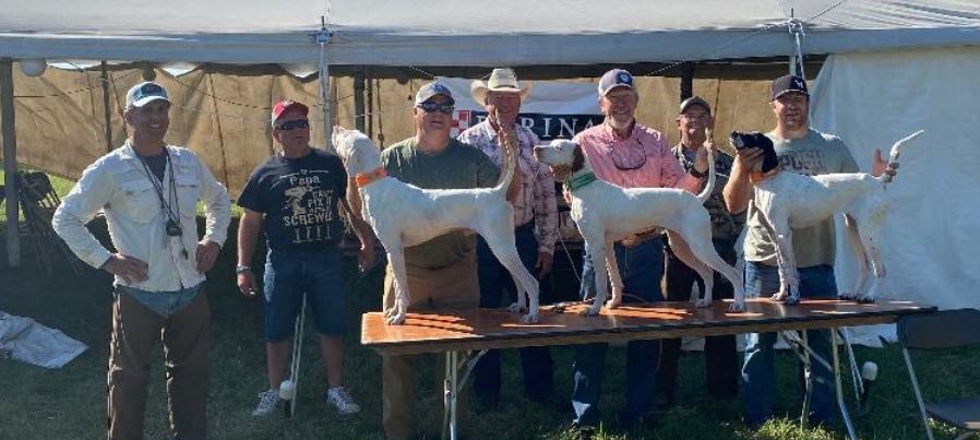 National Prairie Chicken Shooting Dog Championship