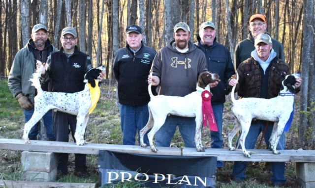 Open Shooting Dog Winners
