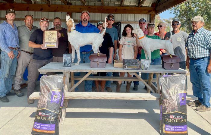 National Ama Pheasant SD ChF25-