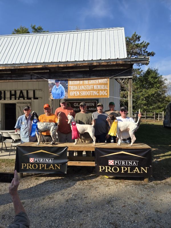 National Brittany Open Grouse Langstaff OSDF25