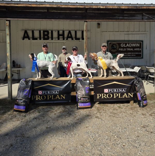 National Brittany Open Grouse OPF25