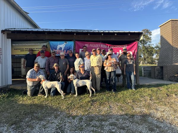 National Open Pheasant Shooting Dog  ChF25