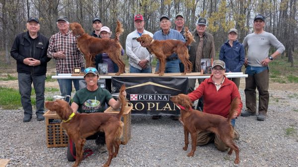 National Red Setter FutS25