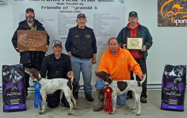 Open Shooting Dog Championship Winners