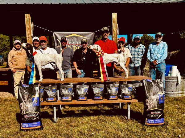 NBHA Sharptail ChF25