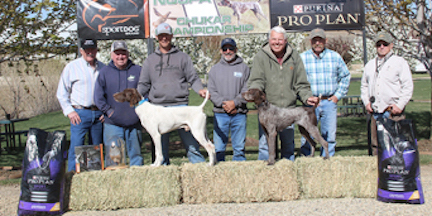 Open All Age Winners. From left: judge Howard Burbach, Ray Nelson, Ray Larrondo with Ridden High Rudy, Terry Zygalinski, Keith Richardson with P W B D K's Dot on The Horizon, Rich Robertson, and Judge Mike Aldrich