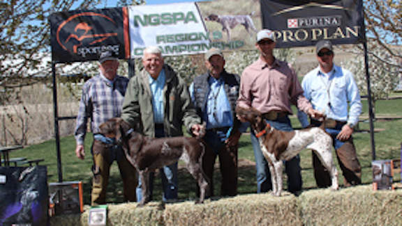 Open Shooting Dog Championship Winners. From left to right: Howard Burbach (judge), Keith Richardson with P W Brook Heads Up (Enzi), Rich Robertson, Ray Larrondo with Llan's Game On Greta, and Josh Nieman