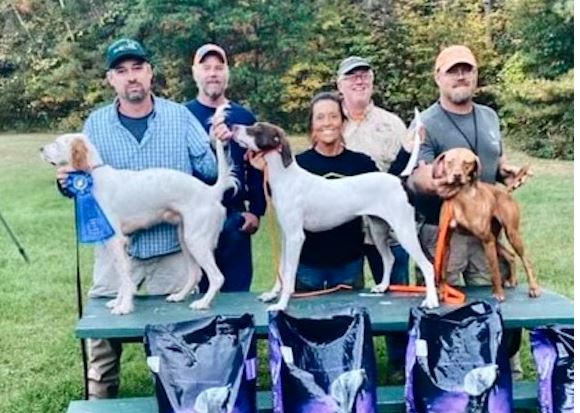 North Country Open Shooting Dog Championship | American Field