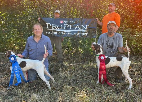 Northeastern Grouse Woodcock ChF25