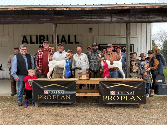 Northern Michigan Cover Dog ChF25