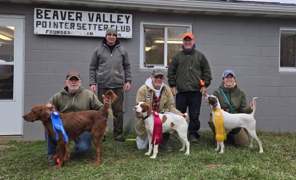 Pennsylvania Amateur Shooting DogF24