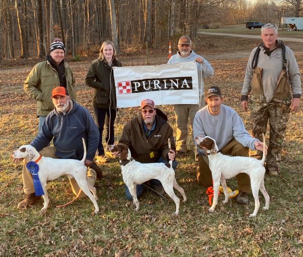 Field trial 2024 bird dogs