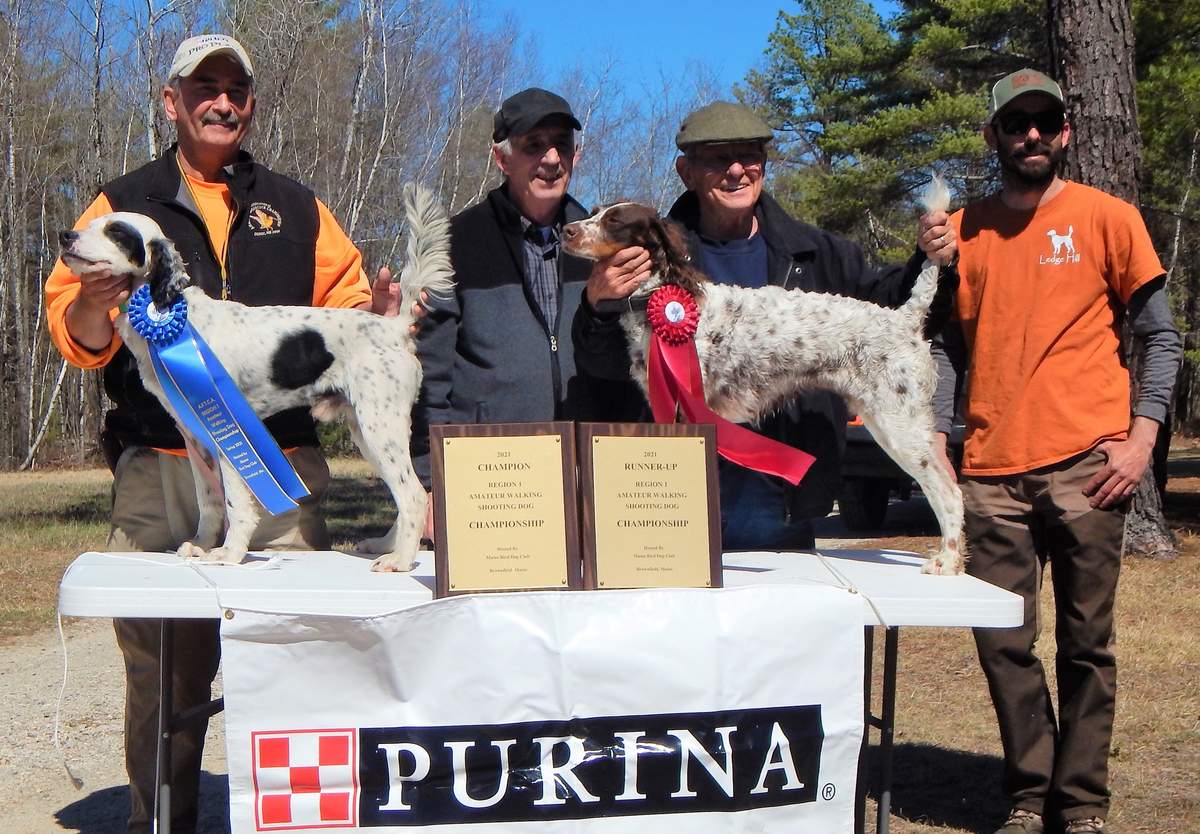 Region 1 Amateur Walking Shooting Dog Championship Winners. Left to right:  Lloyd Murray with Long Gone Porky, Judge Tony Bly,  Paul Christopher with Grouse Hill Lilly, and Judge James Levesque