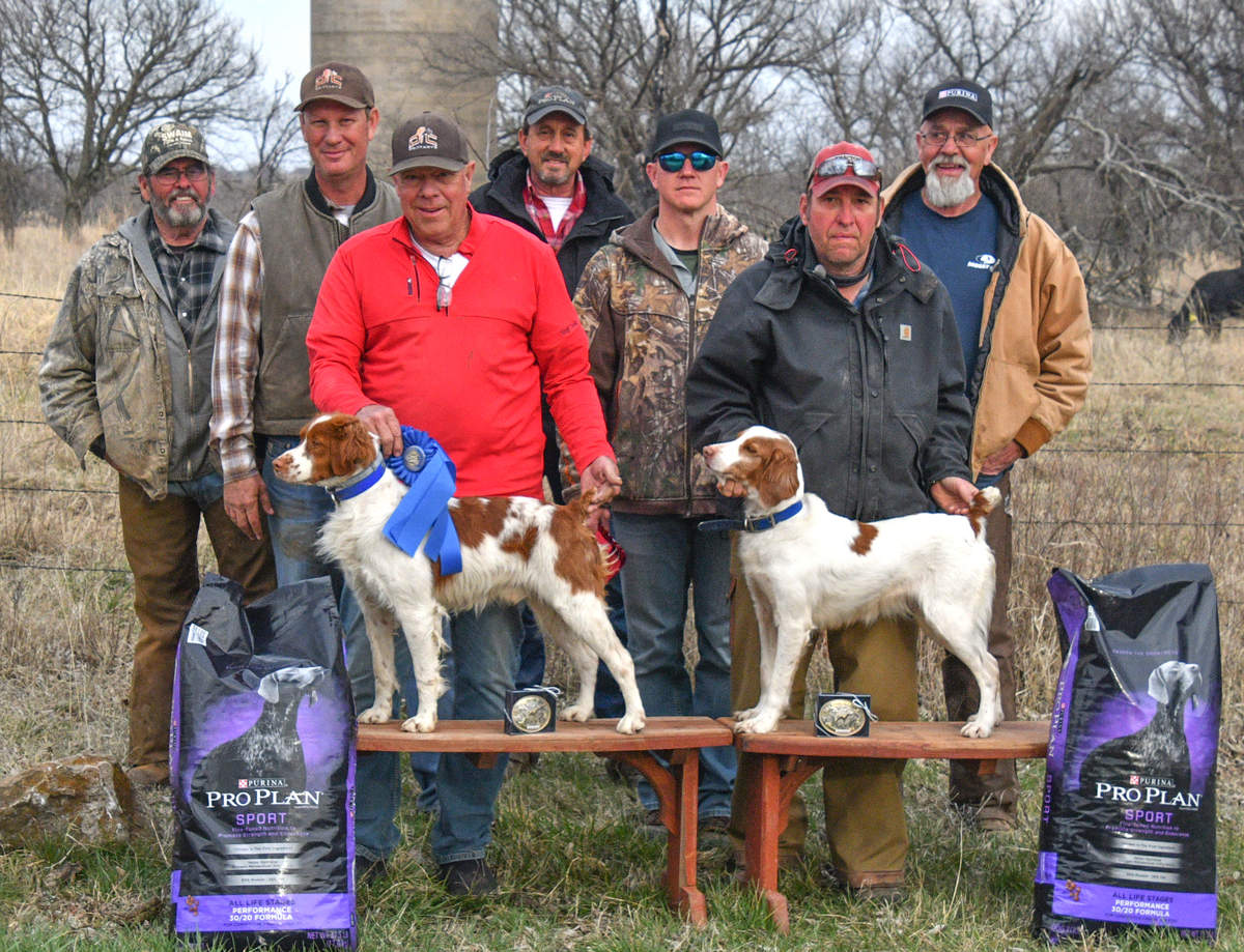 Region 17 Amateur All-Age Brittany Championship Winners