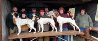 Region 7 OSDS25