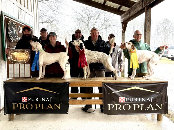 Ruffed Grouse ODS26
