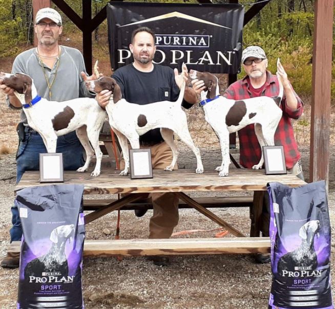 Puppy Classic Winners. From left: John Stolgitis with Chasehill Hidden Jewel, Al Rainao with Chasehill Poison Ivy, and Tim Cavanaugh with Little Miss Margaret