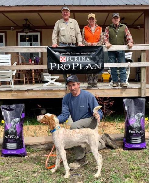In foreground is Runner-up Chippoke's Hoss Man with owner-handler Lee Flanders. Behind, from left: Jeff Smith, judge, Sharon Townley, and George Doyle, judge.