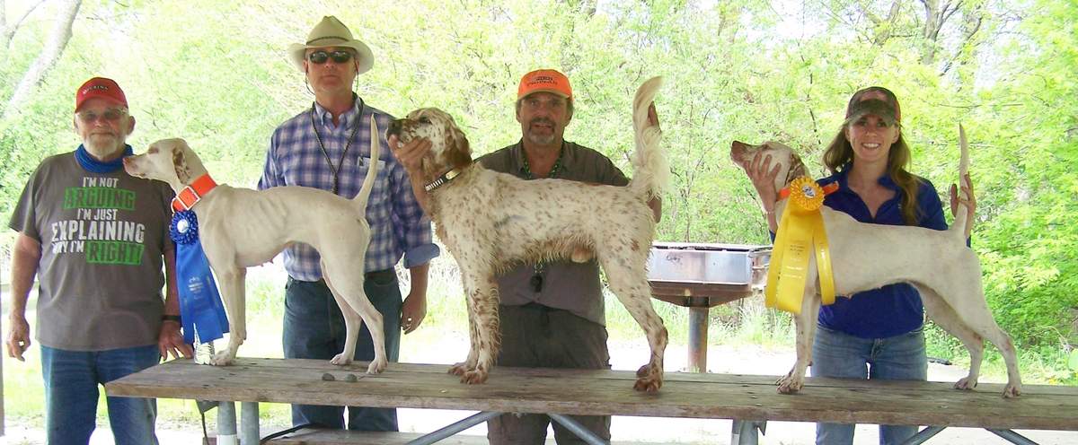Open Horseback Shooting Dog Winners. From left: Bryan Wood, Sandy McLean with Wicked Quick, first; Jim Cipponeri with Jack's Rockin Rocco, second; and Kelsey Hajek with Wicked Hippie, third